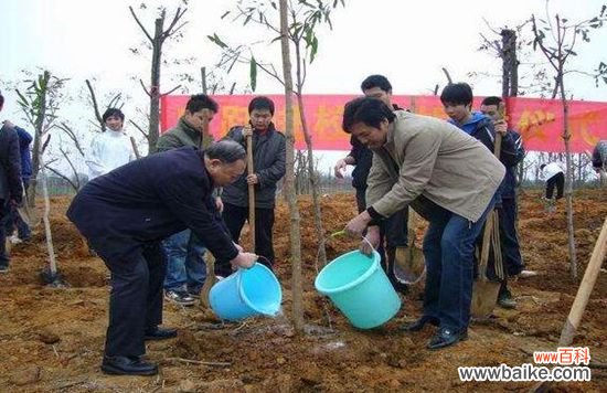 浇定根水是什么意思?