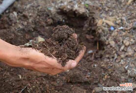 中药渣怎样做肥料?中药渣制作肥料图解