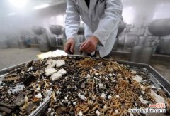 中药渣怎样做肥料？中药渣制作肥料图解