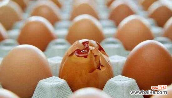 臭鸡蛋能给花做肥料吗?直接埋入花盆中可令花开爆盆