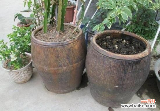 家庭养花如何自制花肥？