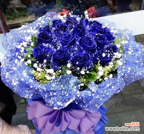 探秘蓝色满天星的美丽花语和隐含的深刻寓意 蓝色满天星的花语与寓意