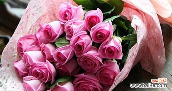 揭秘粉红玫瑰的浪漫与温柔 粉红玫瑰的象征意义及文化内涵