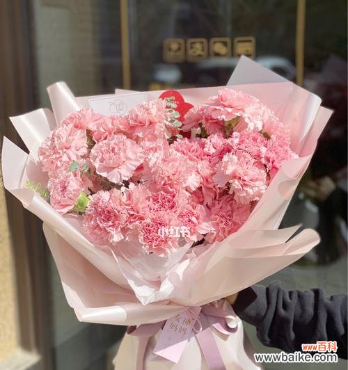 探究粉红色康乃馨的情感和意义 粉红色康乃馨的象征意义