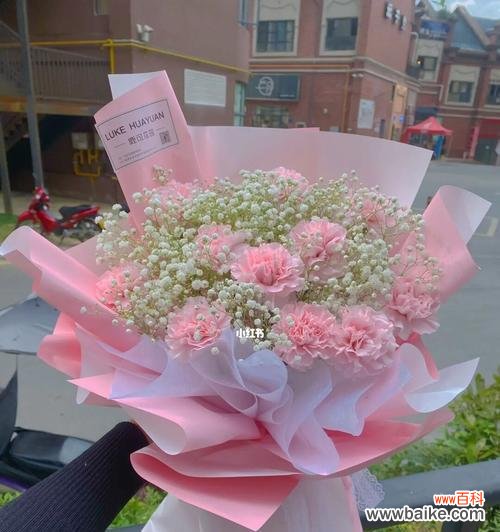 探究粉红色康乃馨的情感和意义 粉红色康乃馨的象征意义