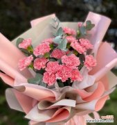 探究粉红色康乃馨的情感和意义 粉红色康乃馨的象征意义