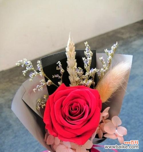 永生花代表什么含义？永生花的花语有哪些常见问题解答？