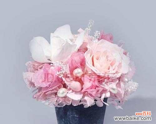 永生花代表什么含义？永生花的花语有哪些常见问题解答？