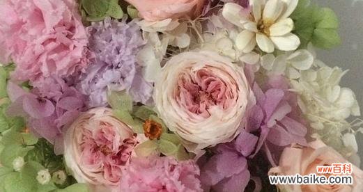 永生花代表什么含义？永生花的花语有哪些常见问题解答？