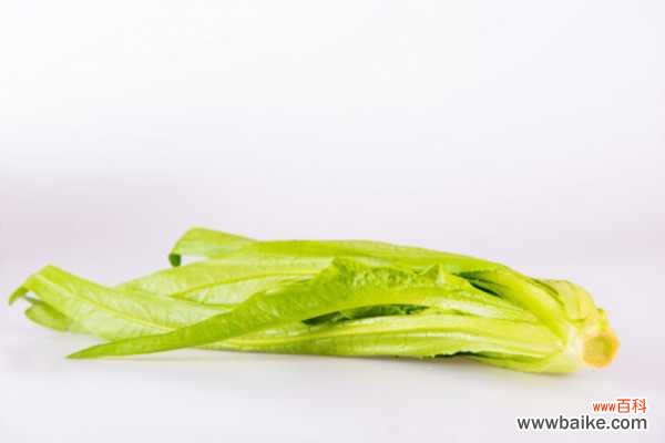 “油麦菜”营养高,阳台上养上一盆,都不用去买菜了!