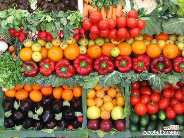 空油桶剪2刀,随手撒点菜根菜头,过年都不用买菜了!