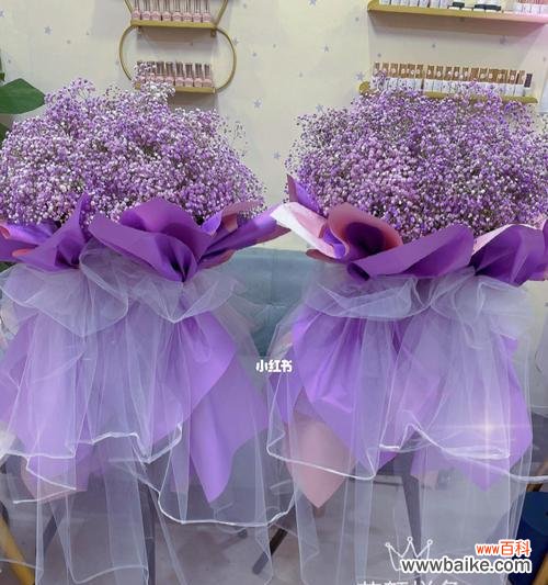 浪漫情愫与真挚爱意,体现了人生的美好 寓意多彩的紫色满天星花