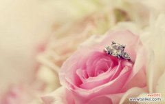 解读浅粉色玫瑰所代表的含义 浅粉色玫瑰的花语