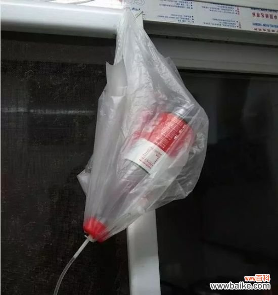 长期外出家中无人浇花怎么办?