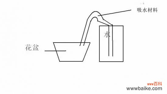 长期外出家中无人浇花怎么办?