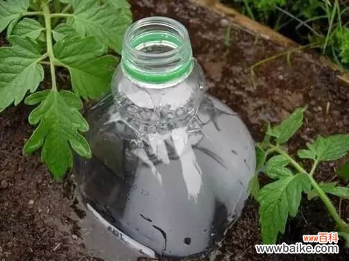 长期外出家中无人浇花怎么办?