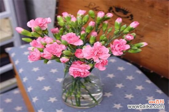 百合花多少钱一束？100元～200元不等