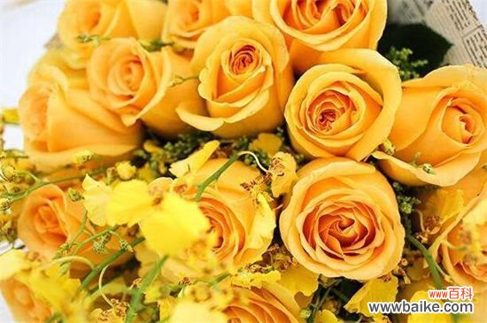 情人节送闺蜜什么花？盘点10种送闺蜜最适合花卉