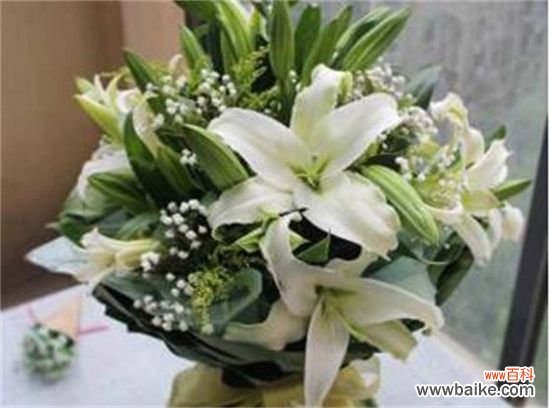 百合花什么时候开花？百合花花期在7～10月