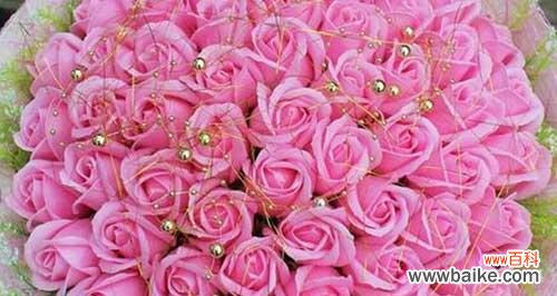 揭秘粉色玫瑰花所代表的15种情感和意义 粉色玫瑰花的花语和寓意