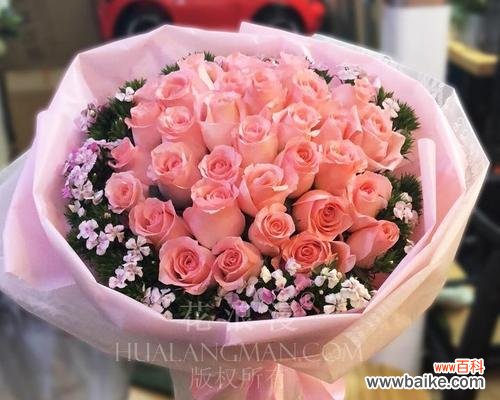 花语解读与文化内涵 粉玫瑰