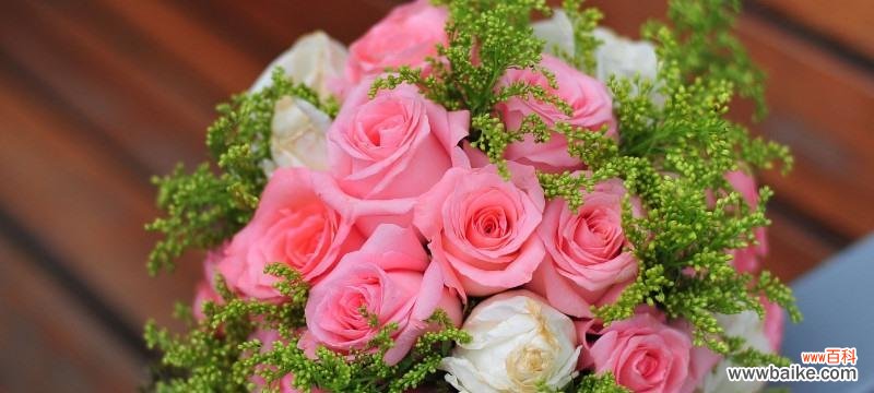 探寻花语背后的含义 花语之美——19朵粉玫瑰的传情之道