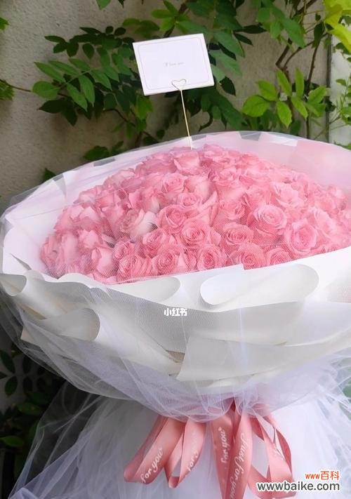 探寻花语背后的含义 花语之美——19朵粉玫瑰的传情之道