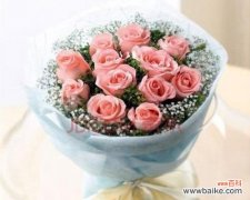 探究这个浪漫的数字的真正含义 11朵粉玫瑰的含义