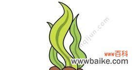 探秘香水草的美丽和神秘 香水草的花语与文化背景