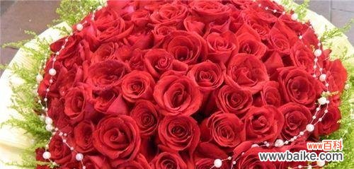了解玫瑰花数量与情感的表达方式 玫瑰花的数量代表的含义