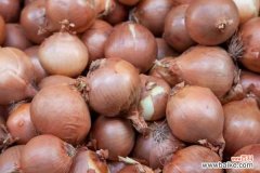 家庭种植洋葱的方法