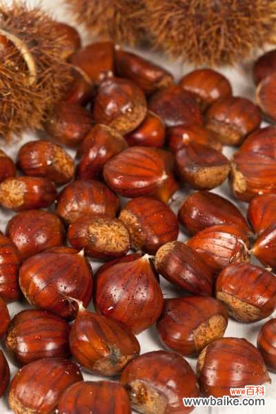 阳台怎么种板栗？种盆里比花还好看！