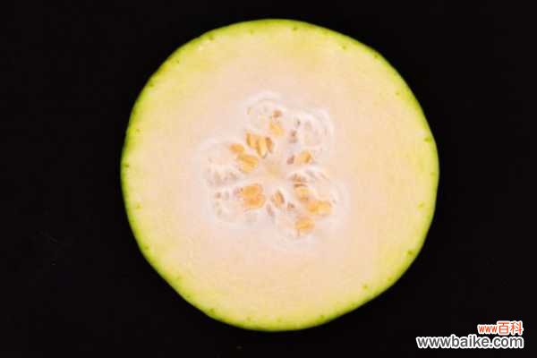 冬瓜的盆栽种植方法