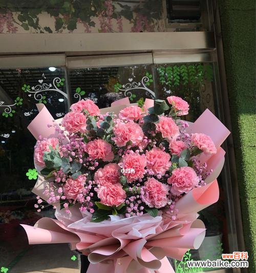 康乃馨花 粉色康乃馨的象征意义与传承