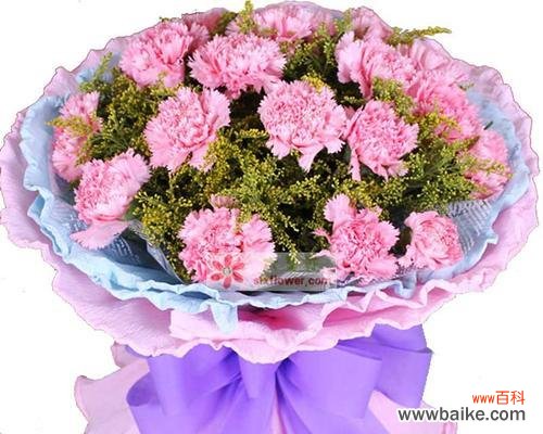 探寻康乃馨的情感寓意与象征意义 粉色康乃馨的花语与深意