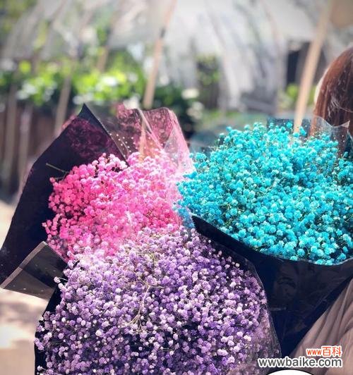 绽放如梦般的粉色世界 粉色满天星的花语——爱与美的象征