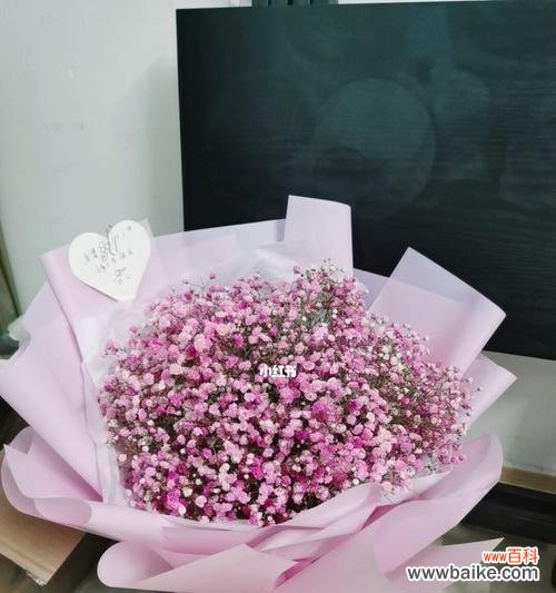 用粉色满天星向心爱的人传递温馨祝福 粉色满天星的花语