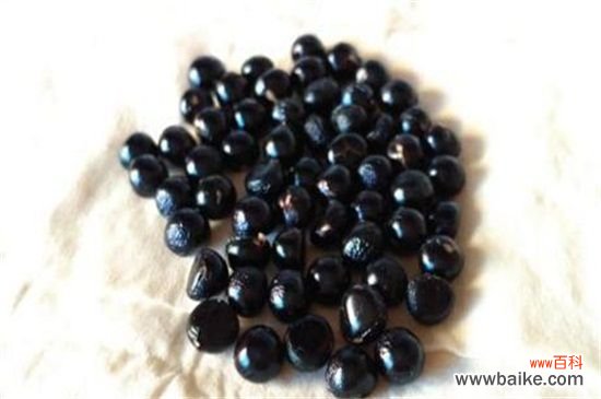 彼岸花的种子怎么买