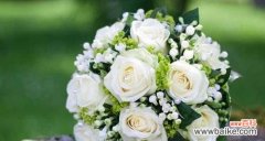 探究玫瑰花数量的隐含含义 玫瑰花的数量代表了什么？