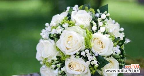 探究玫瑰花数量的隐含含义 玫瑰花的数量代表了什么？