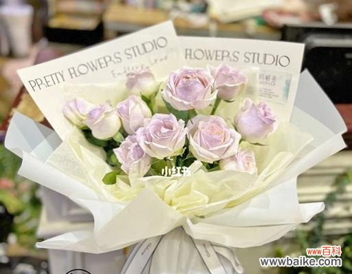 浪漫的花语，传递真挚的情感，营造梦幻般的氛围 薄雾玫瑰花语