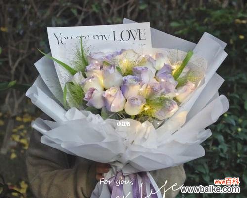 浪漫的花语，传递真挚的情感，营造梦幻般的氛围 薄雾玫瑰花语