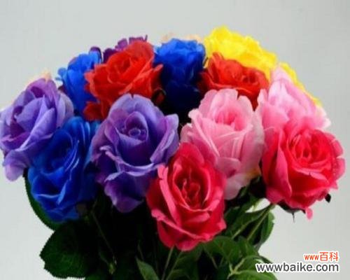 不同场合、不同情感的表达 花语浅析——送花的种类与含义