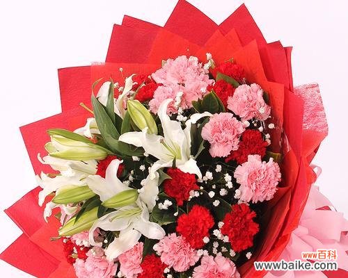 解析不同朵数康乃馨的象征意义 19朵康乃馨的意义