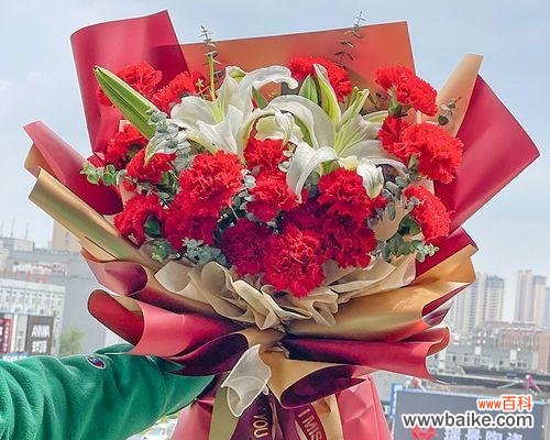 解析不同朵数康乃馨的象征意义 19朵康乃馨的意义