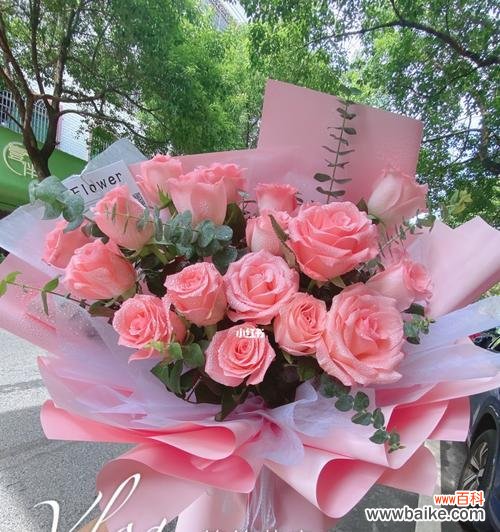 浪漫 19朵粉色玫瑰的象征意义
