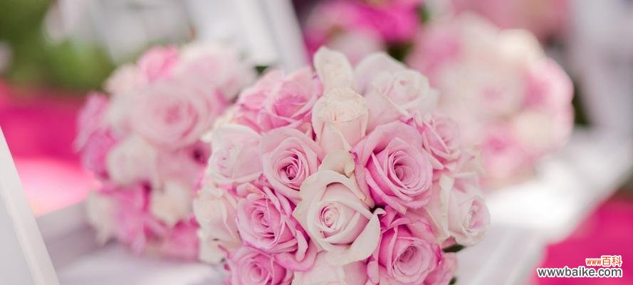 浪漫 19朵粉色玫瑰的象征意义