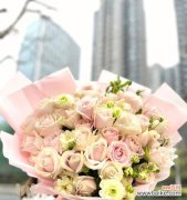 唯美浪漫的粉色 33朵粉色玫瑰花的寓意与象征