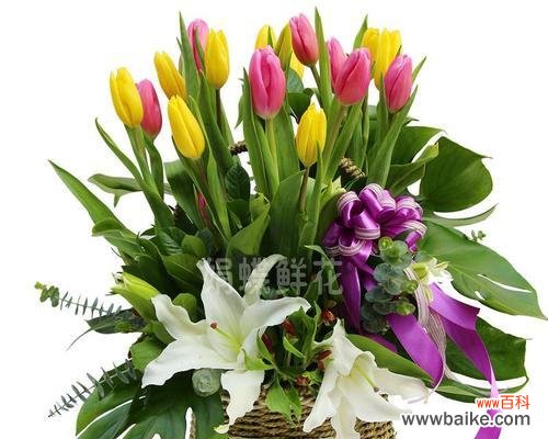 让恩师感受我们的感激之情 送老师的鲜花及其花语