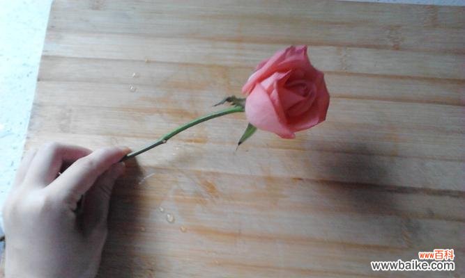 探究玫瑰花作为礼物的内涵与文化背景 一支玫瑰花的意义